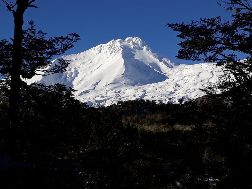 Pico Choshuenco nevado visto desde el bosque