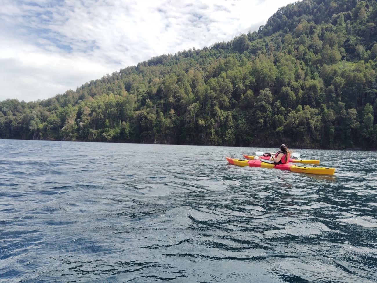 Kayaks navegando junto a la ladera de bosque nativo