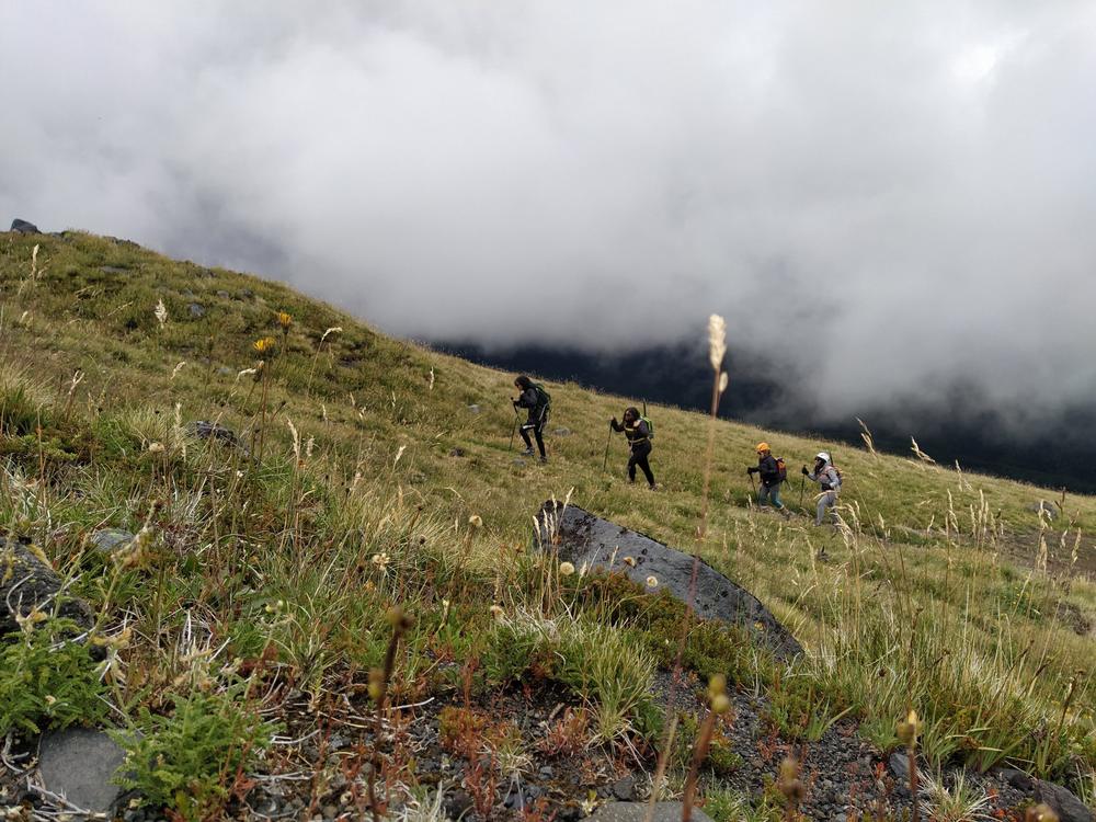 Grupo de trekking en la pradera de altura entre la niebla